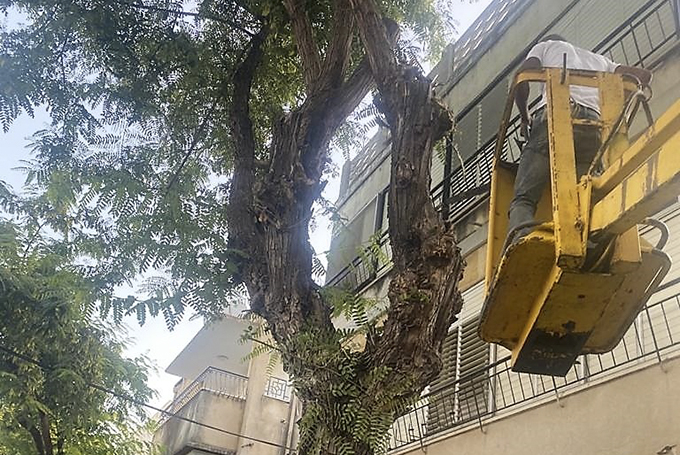 הכן עירך לחורף